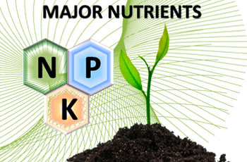 major-nutrients
