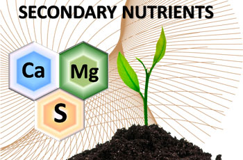 secondary-nutrients